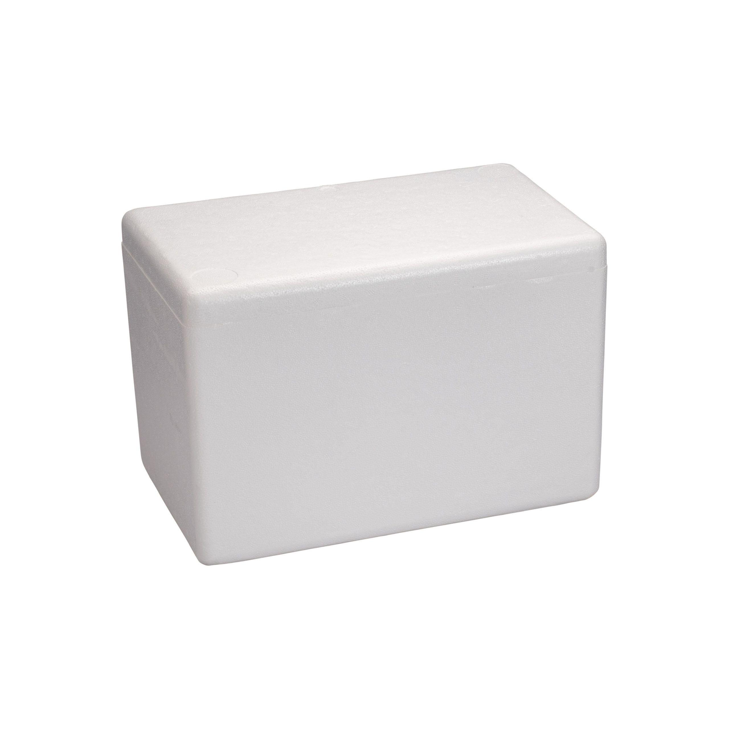 A33 – Foam Cooler Box 12L