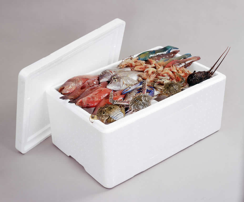 Benefits of EPS Cooler Boxes for Your Business